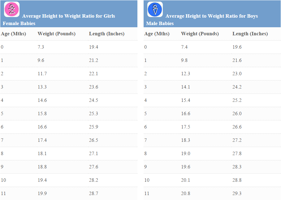 Size And Weight Chart For Child