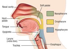 Throat Cancer Pictures